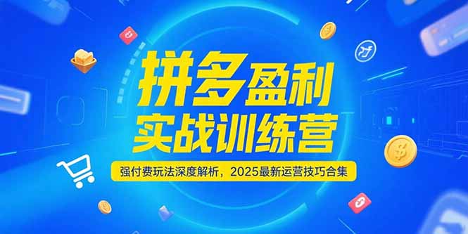 拼多多盈利实战训练营，强付费玩法深度解析，2025运营技巧合集-更新6月-联创在线