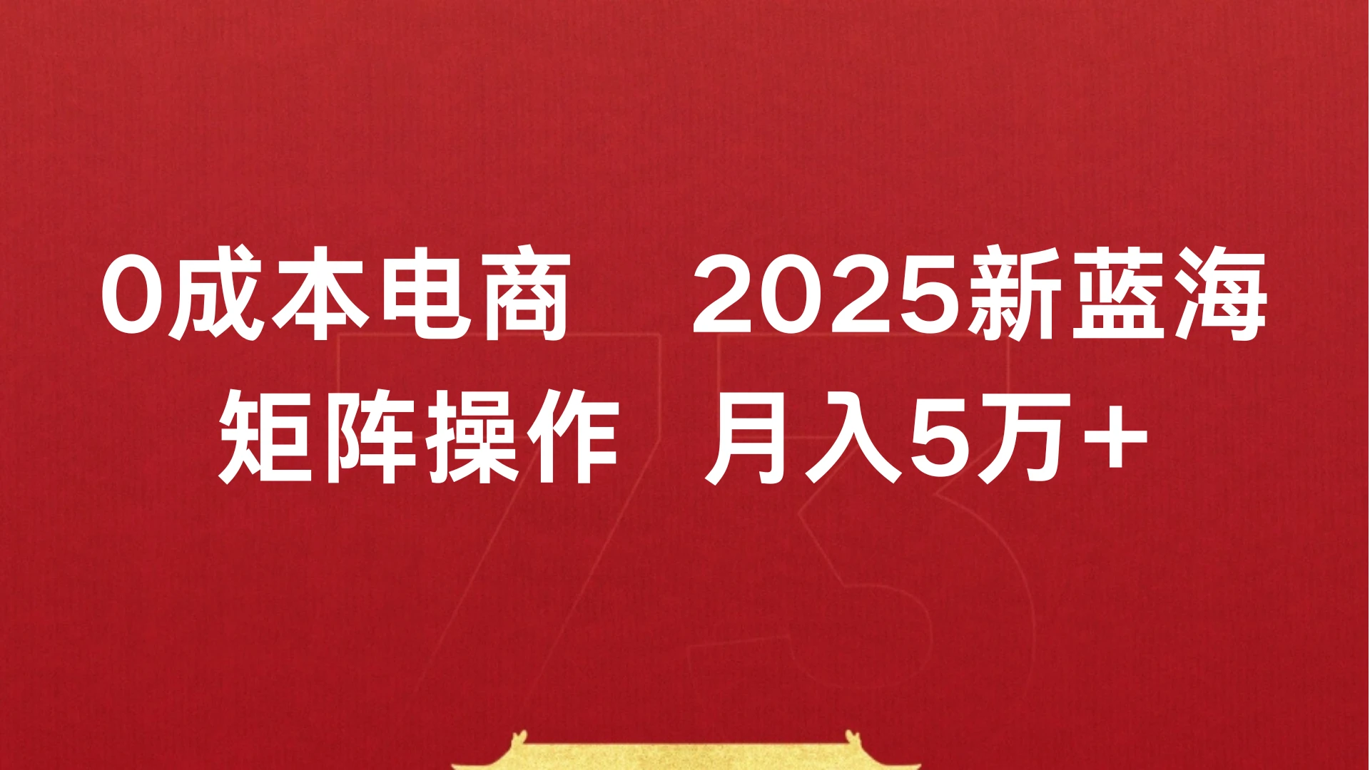 0成本电商，2025新蓝海，矩阵操作 月入5万+-联创在线