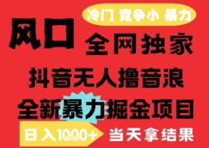 25年6月高爆抖音无人直播最新撸音浪掘金项目,解放双手小白可做,无脑日入1k+,门槛低【揭秘】-联创在线