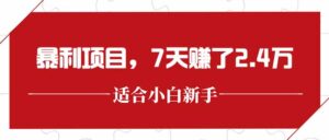 最新暴利项目，每单收益轻松在300以上，7天赚了2.4万-联创在线
