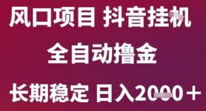 风口项目，六月最新玩法抖音无人挂G，全自动撸金，长期稳定 日入2k+【揭秘】-联创在线