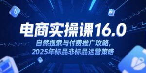 淘宝电商运营课16.0，自然搜索与付费推广攻略，2025年标品非标品运营策略-联创在线