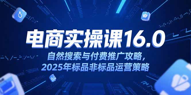 淘宝电商运营课16.0，自然搜索与付费推广攻略，2025年标品非标品运营策略-联创在线