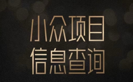 小众蓝海项目情感查询，女粉暴力掘金，轻松日入500+【揭秘】-联创在线