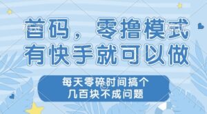 首码零撸项目，有快手就可以做，每天业务时间搞个几张不是问题【揭秘】-联创在线