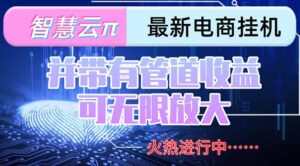 智慧云π电脑挂机单机每天收益300—500+ 并带有团队管道收益 可无限放大-联创在线