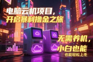 电脑云机项目 暴力撸金玩法，不需要养机 配置没有要求 单机100个窗口一…-联创在线