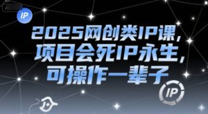 2025网创类IP课，项目会死IP永生，可操作一辈子-联创在线
