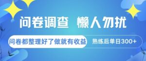 问卷调查，懒人勿扰，问卷都整理好了单价不等，做就有收益，熟练后单日3张【揭秘】-联创在线