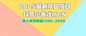 DY小游戏MCN广告2025最新打法单人单日收益1500-2000背靠大平台新手小白…-联创在线