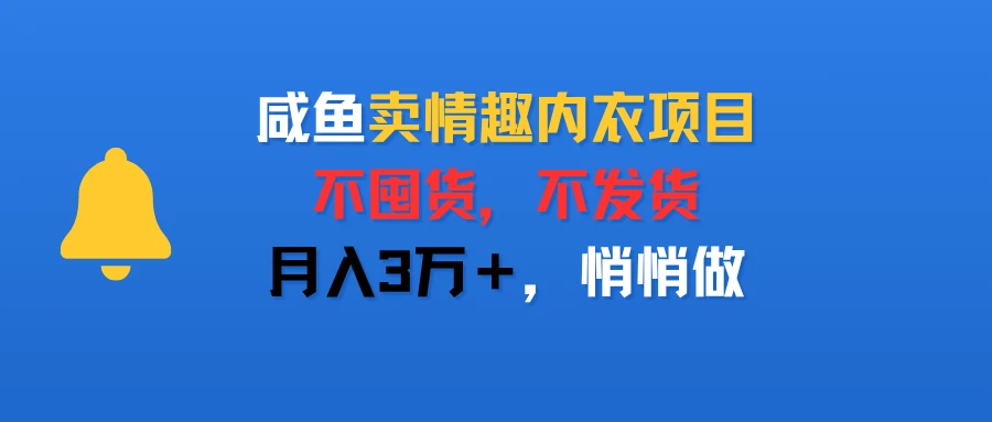 咸鱼卖情趣内衣项目，不囤货，不发货，月入3万＋，悄悄做-联创在线