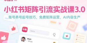 小红书矩阵引流实战课3.0：账号养号起号技巧，免裴矩阵运营，AI内容生产-联创在线