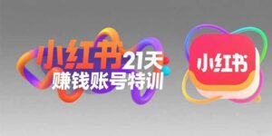 小红书21天赚钱账号特训：黄金定位技巧，高转粉文案创作，科学引流策略-联创在线