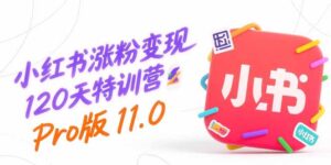 小红书涨粉变现120天特训营Pro版11.0:从0到1掌握平台运营,内容制作和变现-联创在线