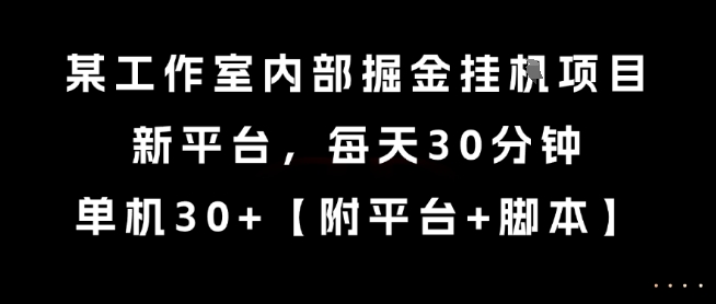 某工作室内部掘金挂G项目，新平台，每天30分钟，单机30+【揭秘】-联创在线