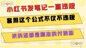 小红书发笔记一直违规，套用这个公式不仅不违规，来的还都是精准的付费粉-联创在线