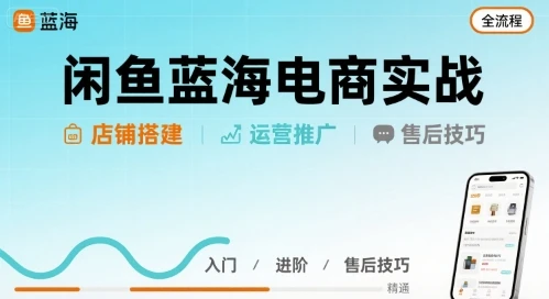 【精】闲鱼蓝海电商实战，店铺搭建运营售后全流程-联创在线