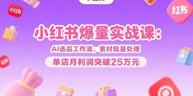小红书爆量实战课：AI选品工作流，素材批量处理，单店月利润突破25万元-联创在线