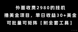 外面收费2980的挂G撸美金项目，单日收益30+美金，可批量可矩阵【揭秘】-联创在线