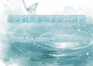 最新剑灵巅峰服游戏搬砖，项目红利期，单机稳定4000+操作简单好上手-联创在线