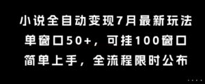 小说全自动变现7月玩法，单窗口50+，可挂100窗口，简单上手，全流程限时公布【揭秘】-联创在线