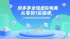 拼多多全域虚拟电商从零到1实操课，小白虚拟电商从0到1实操到精通-联创在线