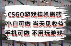 CSGO游戏挂G搬砖，小白纯手机即可操作，不用电脑打游戏，日入3张+，副业网创项目【揭秘】-联创在线