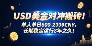 USD美金对冲搬砖!单人单日800-2000CNY，长期稳定运行8年之久!-联创在线