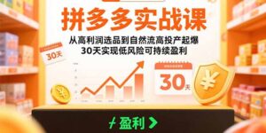 拼多多实战课：从高利润选品到自然流高投产起爆 30天实现低风险可持续盈利-联创在线