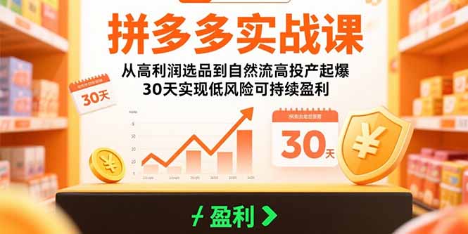 拼多多实战课：从高利润选品到自然流高投产起爆 30天实现低风险可持续盈利-联创在线