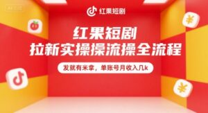 红果短剧拉新实操全流程，发就有米拿，单账号月收入几k-联创在线
