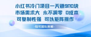 小红书冷门项目一天收益9张，市场需求大，0成本，可复制性强可以矩阵操作-联创在线