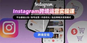Instagram跨境运营实战：平台认知/账号运营/内容优化/选品策略及变现模式-联创在线