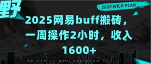 2025网易buff搬砖，一周操作2小时，收入1600+-联创在线