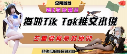海外tiktok小说推文暴力项目，高停留率，高转化率，上手后一天搞顿饭钱不是问题-联创在线