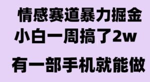 情感暴力掘金项目，新人操作一周挣了2W，长期稳定小白可做【揭秘】-联创在线