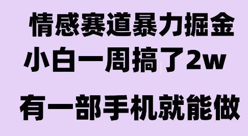 情感暴力掘金项目，新人操作一周挣了2W，长期稳定小白可做【揭秘】-联创在线