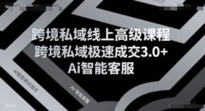 跨境私域线上高级课程，跨境私域极速成交3.0+Ai智能客服-联创在线