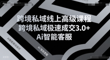 跨境私域线上高级课程，跨境私域极速成交3.0+Ai智能客服-联创在线