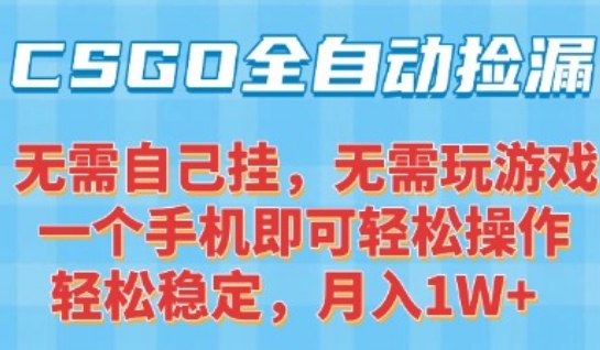 CSGO自动捡漏项目，最新独家玩法，一个手机可操作，新手小白轻松月入1W+，操作简单易上手【揭秘】-联创在线