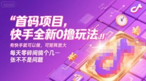 首码项目，快手全新0撸玩法，有快手就可以做，可矩阵放大，每天零碎时间搞个几张不是问题【揭秘】-联创在线