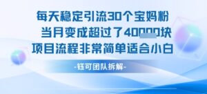 每天稳定引流30个人 当月变成超过了4个W项目流程非常简单适合小白-联创在线