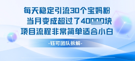 每天稳定引流30个人 当月变成超过了4个W项目流程非常简单适合小白-联创在线