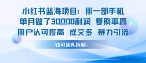 小红书蓝海项目，一部手机单月做了3W利润，小白也能月入过1W用户认可度高成交多-联创在线
