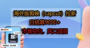 海外版剪映(capcut)拉新，日结算1k+，市场空白，风口项目-联创在线