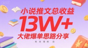 小说推文总收益13W+大佬爆单思路分享，常青树项目-联创在线