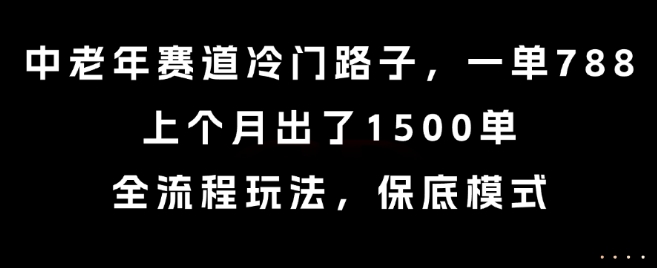 中老年赛道冷门路子，一单788，上个月出了1500单，全流程玩法，保底模式【揭秘】-联创在线