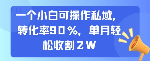 一个小白可操作私域，转化率90%，单月轻松收割2W-联创在线
