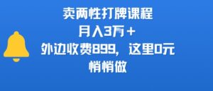 卖两性打牌课程，月入3W+外边收费899的课程，这里0元，悄悄做-联创在线