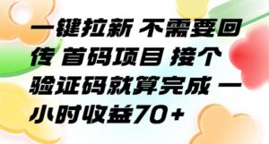 一键拉新 不需要回传 首码项目 接个验证码就算完成 一小时收益70+【揭秘】-联创在线